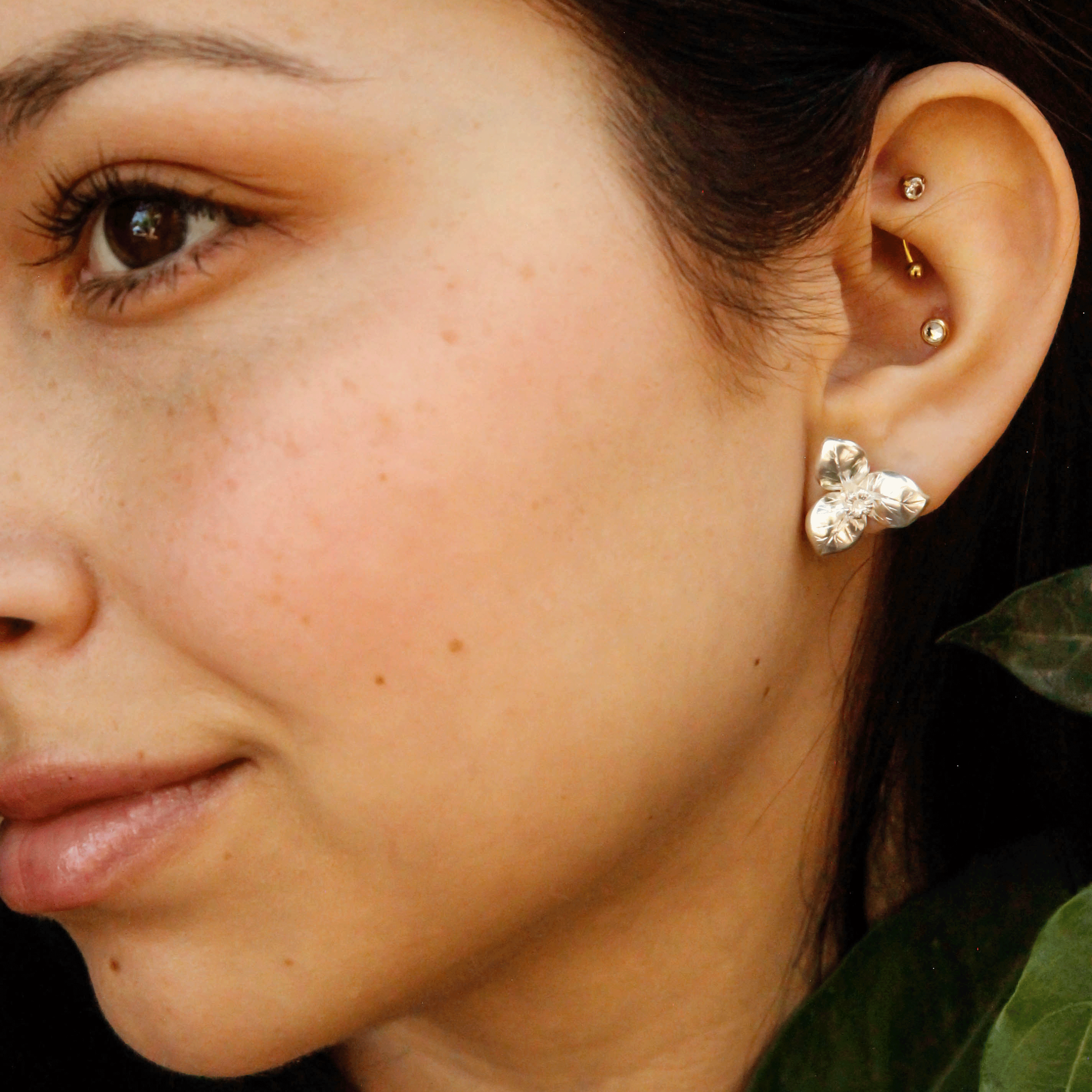 Aros Bugambilia Plata