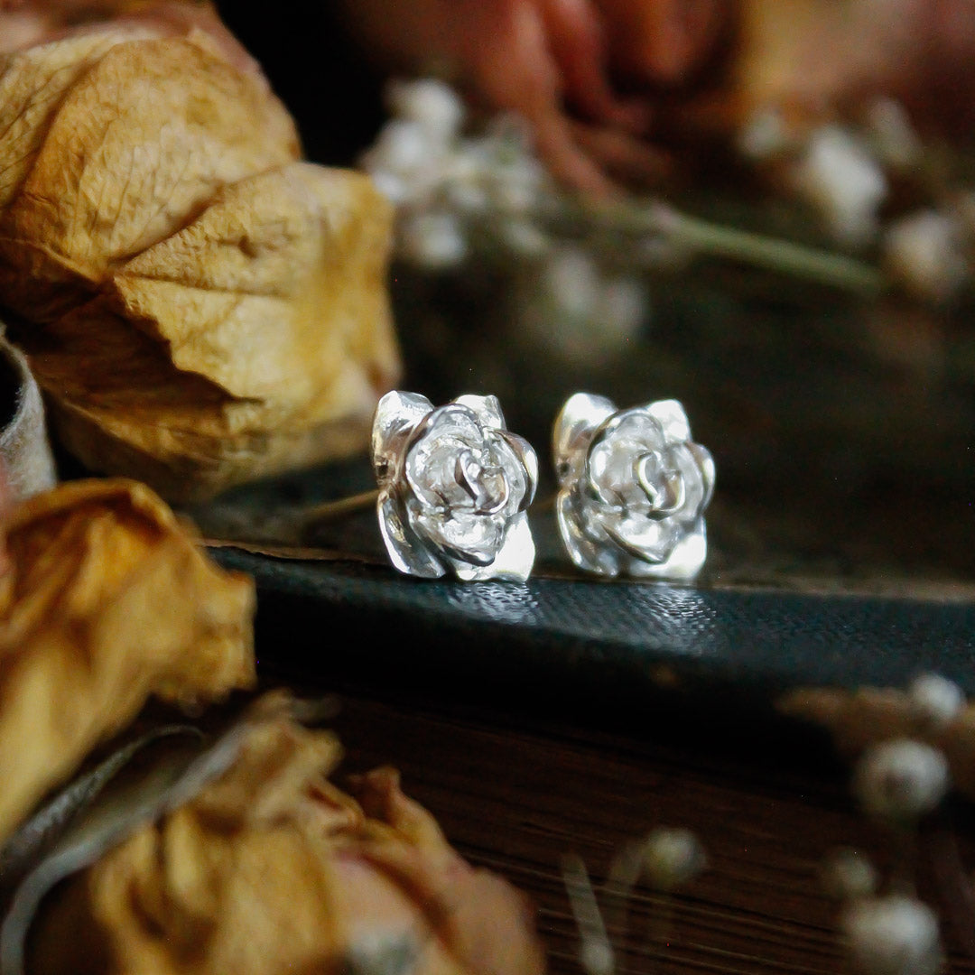 Aros Rosa pequeña Plata